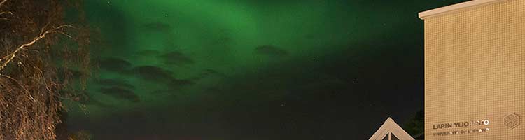 Public seminar ART AND LAW on the 27. February 2019 at the University of Lapland, Rovaniemi