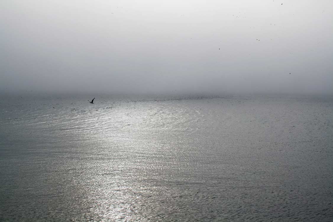 "Time unknown" Photo Catarina Ry&ouml;ppy.